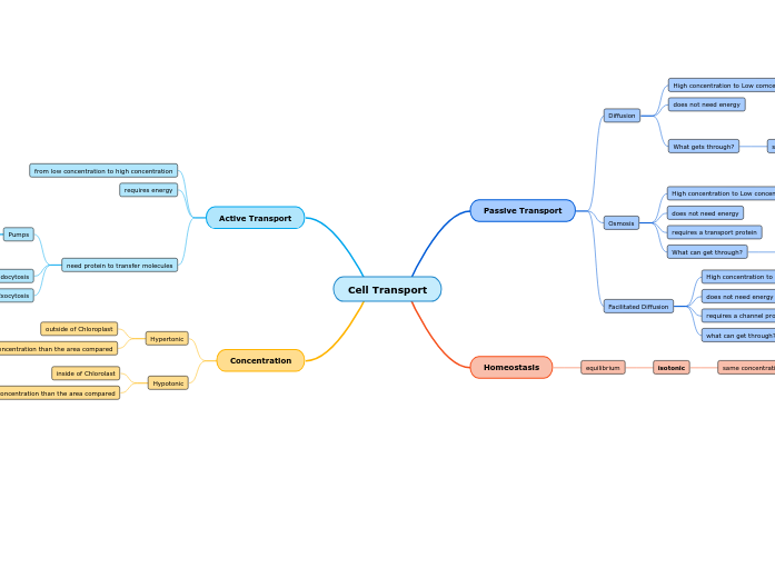 cell-transport-mind-map